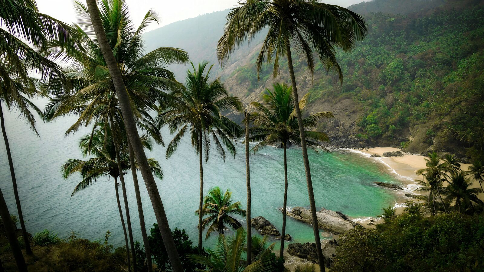 A turquoise cove framed by coconut palms in South Goa